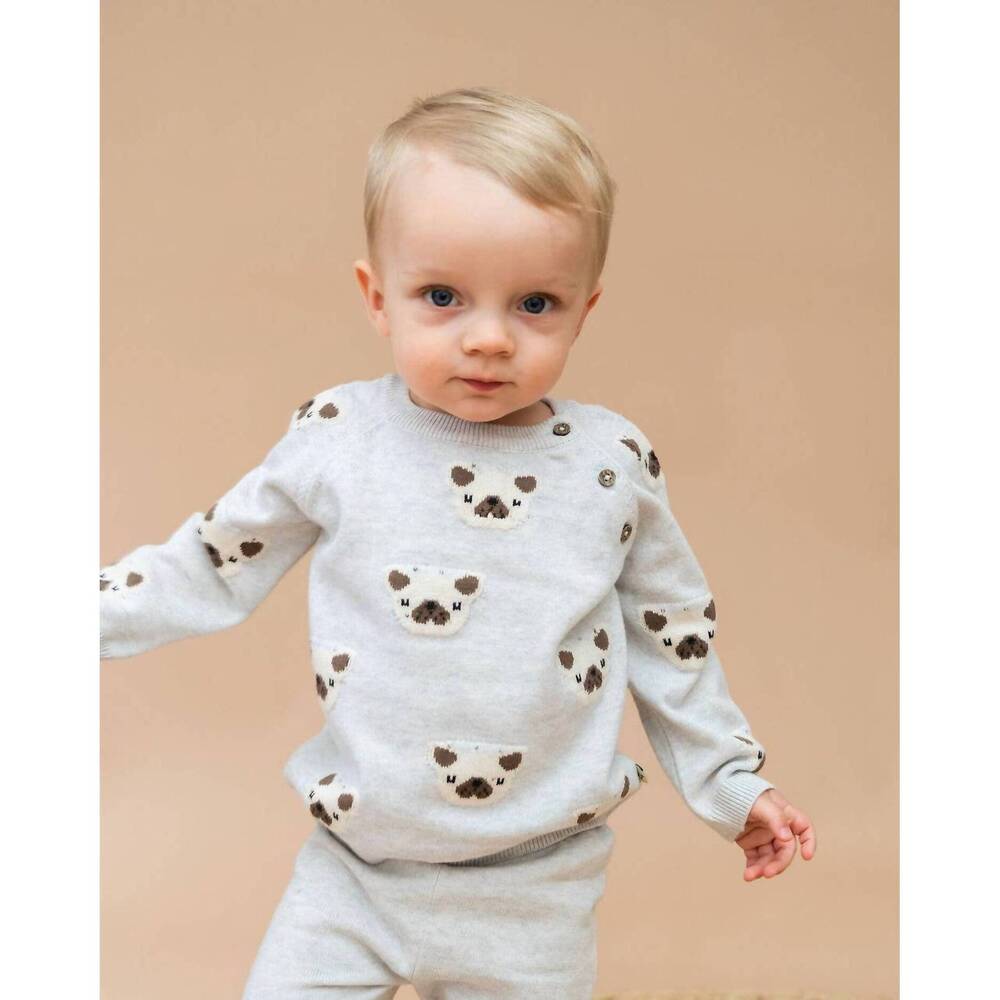 NEW VIVERANO ORGANICS frenchie puppy jacquard knit pullover sweater in pearl gre